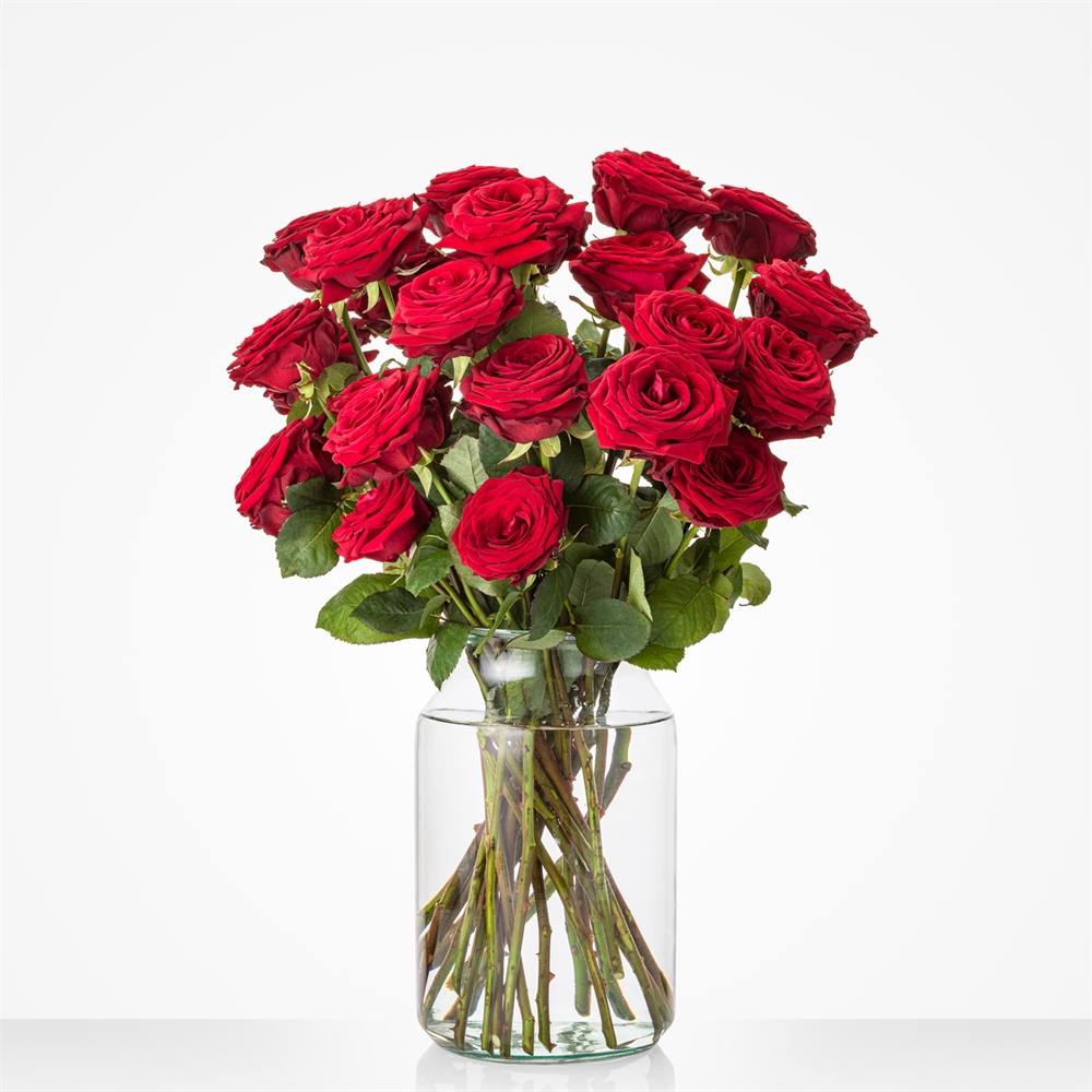 Luxe rode rozen boeket Luxe rode rozen boeket